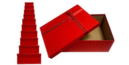SETS DE 10 PIEZAS DS44124