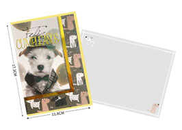 TARJETA BX09952