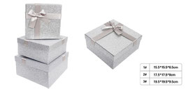SETS DE CAJA DURA PLATA DS42882
