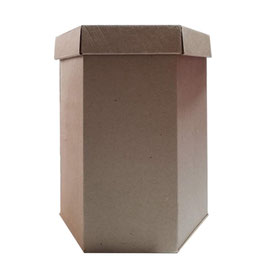 CAJA EXAGONAL MEDIANA
