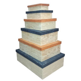 CAJA DE MADERA RECTANGULAR TAPA BASE 20X10X5 DE LUJO