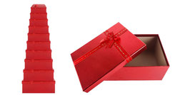 SETS DE 10 PIEZAS DS44210