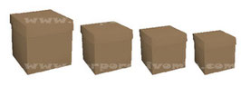 CUBO MICROCORRUGADO NATURAL 12X12