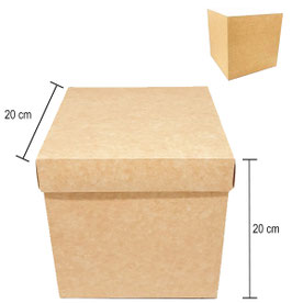 CUBO KRAFT 20X20