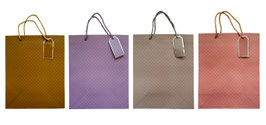 BOLSA TODA OCACION PREMIUM GRANDE GBPTO096L