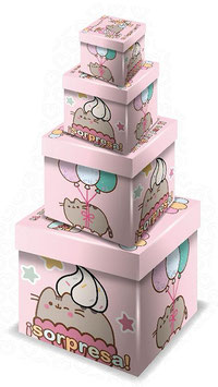 TORRE DE CUBOS PLASTIFICADOS RIGIDOS PUSHEEN