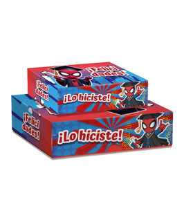 CAJA RIGIDA CAMISERA GRANDE SPIDER LO HICISTE