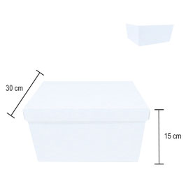CUBO BLANCO TAMAÑO PASTEL