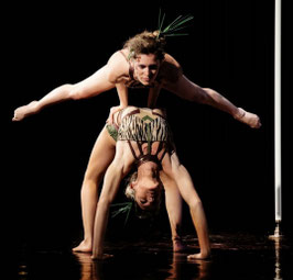 WORKSHOP ACROBALANCE