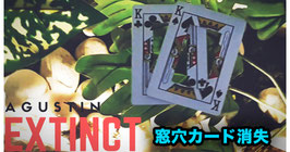 〈DL〉EXTINCT / エクスティンクト（挟み消失）by Agustin