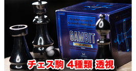 GAMBIT（チェス駒 ４種当て）【メンタル ダイス拡張用】（黒檀）