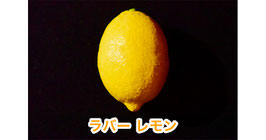Rubber Lemon / ラバー・レモン