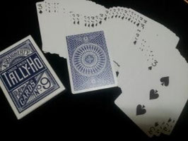 One Way Forcing Deck (Tally-Ho) / タリホー版 ワンウェイ・フォーシング・デック 【青裏】