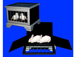 Automatic Dove to Rabbit Cage / オートマティック ダブ to ラビット ケージ