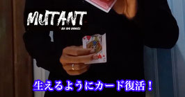 〈DL〉Mutant / ミュータント（生えるカード復活）by Ido Daniel