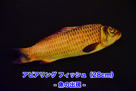 Appearing Fish / アピアリング  フィッシュ（魚の出現）【28cm長】