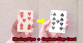 Moving Pips + Gapless Flap Card (6→9) / ムービング ピプス + ギャップレス  フラップカード (6→9)
