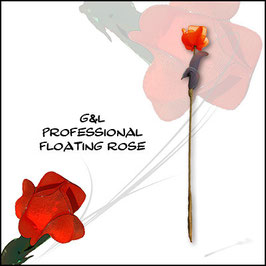Pro Floating Rose （プロ フローティングローズ）by G&L
