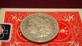 Magica製 Morgan Dollar Expanded Shell / モルガン エキスパンデッド・シェル
