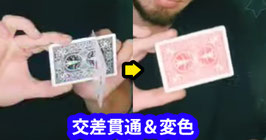〈DL〉Shapeshifter / シェイプ シフター（交差貫通＆変色）by Zack Fossey