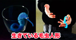 Mogol Pet / モール ペット（生きている毛虫人形）