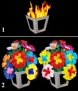 Tora Fire to Flower Vase / トラ・ファイア to フラワー・ベース（花咲 分裂ポット）