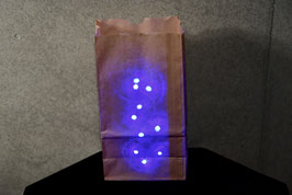 Stellar Bag / ステラー バッグ（ディライト紙袋）【青】