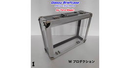Glassy Briefcase / グラッシー ブリーフケース（Wプロダクション）by Tora Magic