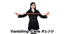 Vanishing Cane Colors ( Red & White) / バニッシング ケーン（オレンジ）
