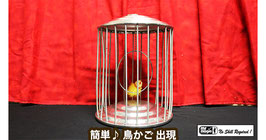 Spring Production Birdcage / スプリング プロダクション バードケージ（鳥かご 出現）