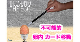 THE CARD INTO THE EGG / カード into エッグ（卵内 カード移動）
