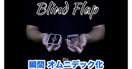 Blind Flap Project / ブラインド フラップ プロジェクト（瞬間オムニ化） by PH and Mario Tarasini