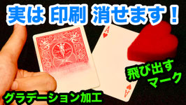 印刷 消去液「特殊ガフカード」作成キット【GIMICA シリーズ】