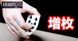 Fragment / フラグメント（増枚）
