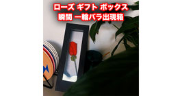 ローズ ギフト ボックス（一輪バラ出現箱）