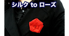 Silk to Rose / シルク to ローズ
