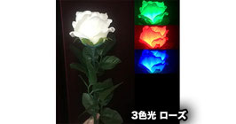 ６色発光ローズ / Delight Rose (6 colors)