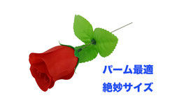 Slim Rose / スリム ローズ