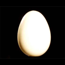 Wooden Egg（木製卵）