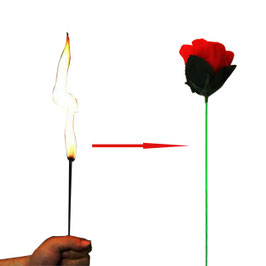 Fire to Rose / ファイア to ローズ