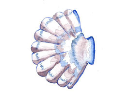 Muschel