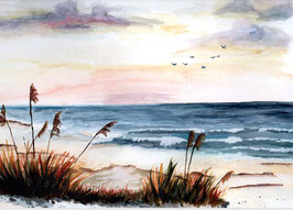 Am Meer