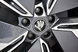 20 Radschraubenkappen GREY GLOSS - original - SKODA, VW, AUDI