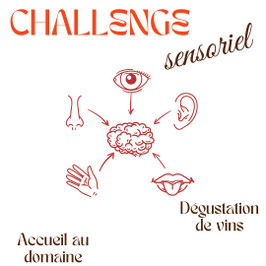 CHALLENGE SENSORIEL FORFAIT 10 PERSONNES