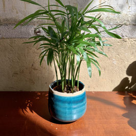 Stekpot Iris mint