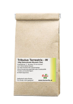 Tribulus Terrestris - Wurzeln