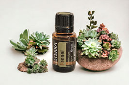 Fennel 15 ml (Fenchel) doTERRA essential oil