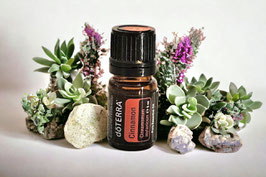 Cinnamon (Zimt) 5 ml doTERRA essential oil
