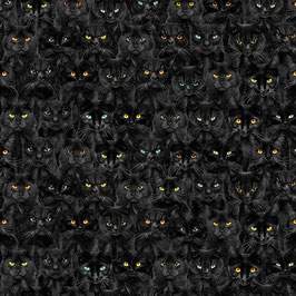 Timeless Treasures - Wicked - Wicked Black cats magic - Katzenköpfe auf schwarz - Kinderstoff Baumwollstoff Patchworkstoff
