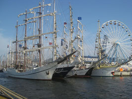 3h Vormittagstörn Hanse Sail von 11 - 14 Uhr (Do.-So.)